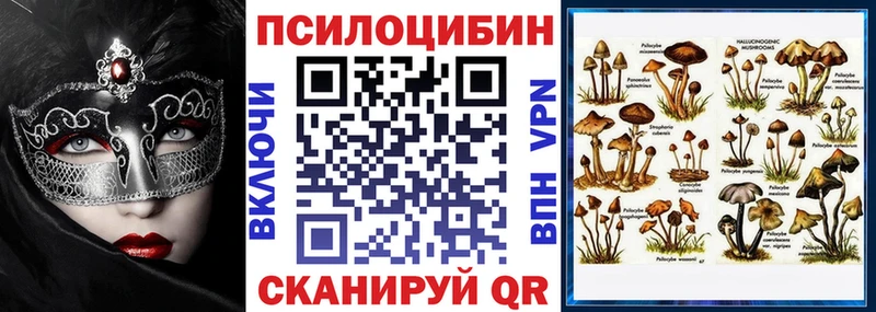Псилоцибиновые грибы мухоморы  shop какой сайт  Брянск 